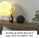 Mourixa- Amazon Echo 4 Gen-04.webp