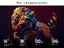 mourixa qatar 4_Display_Ultra.webp