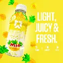 Mourixa-RYSE CLEAR PROTEIN JELL O 500ML-06.webp