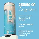 BUM ENERGY BLUE SNOW CONE 355 ML mourixa qatar.webp