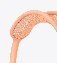 Apple AirPods Max Orange mourixa qatar 3.webp